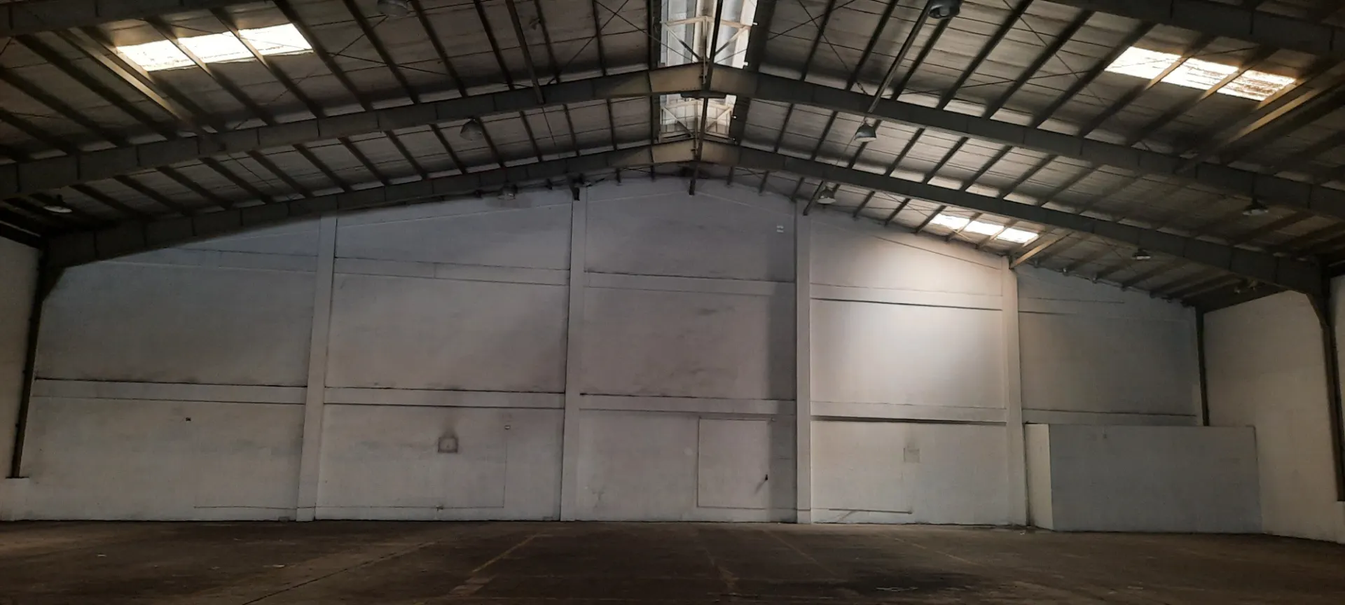 4193 SQM PEZA Carmona Warehouse Lease